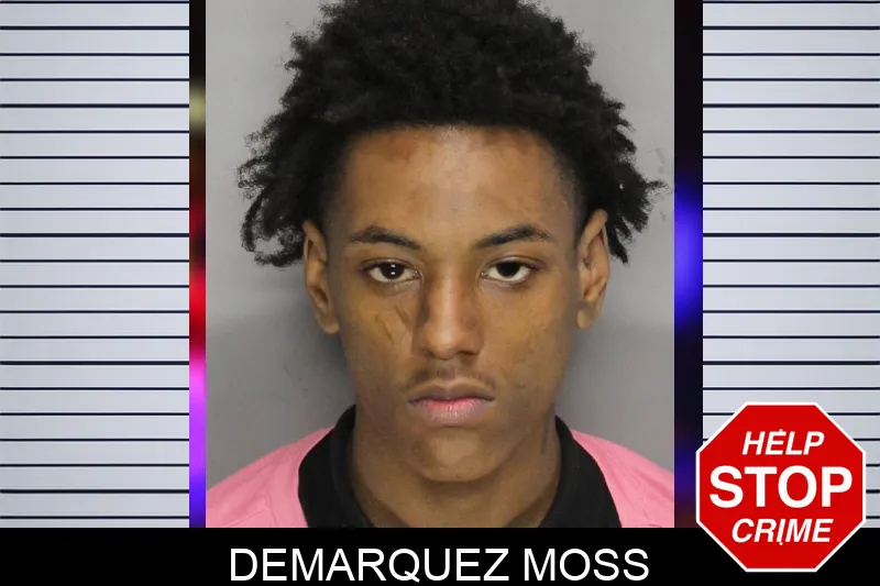 Demarquez Moss mugshot