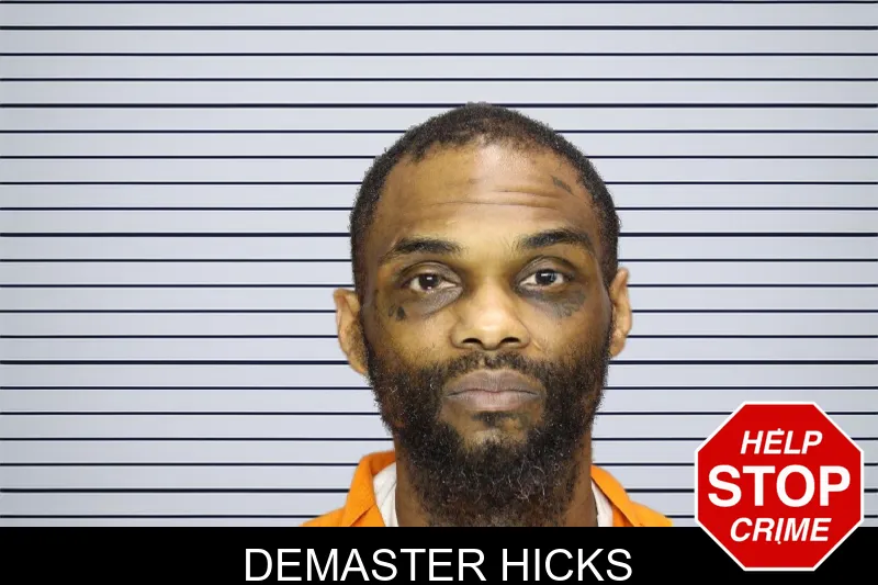 Demaster Hicks mugshot