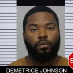 Demetrice Johnson mugshot – Bibb County , Georgia Demetrice Johnson mugshot
