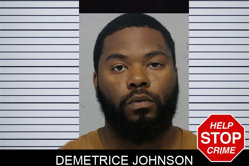 Demetrice Johnson mugshot