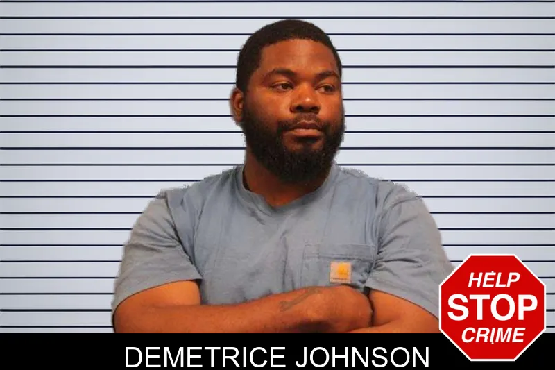 Demetrice Johnson mugshot