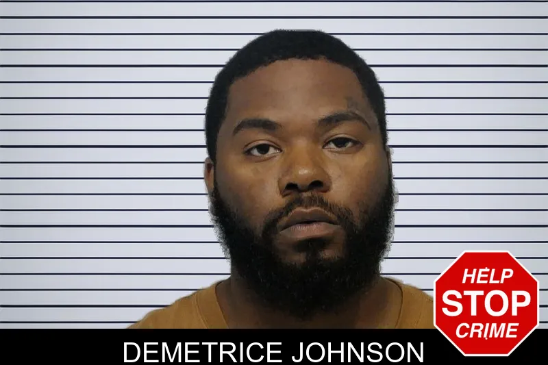 Demetrice Johnson mugshot