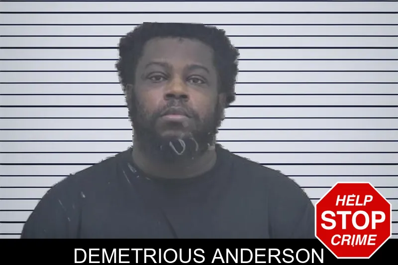 Demetrious Anderson mugshot