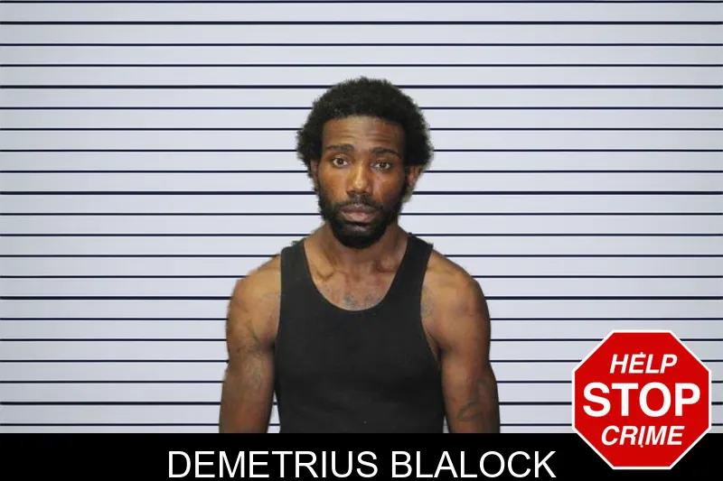Demetrius Blalock mugshot – Thomas County , Georgia Demetrius Blalock mugshot