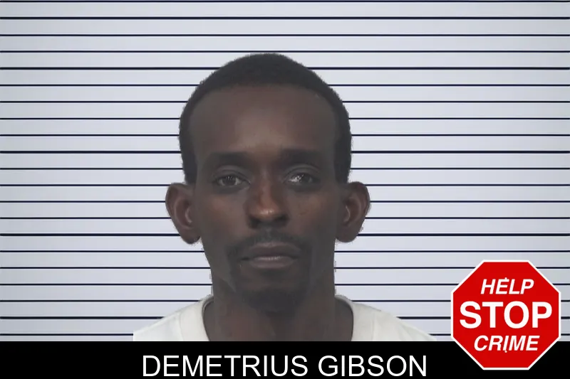 Demetrius Gibson mugshot