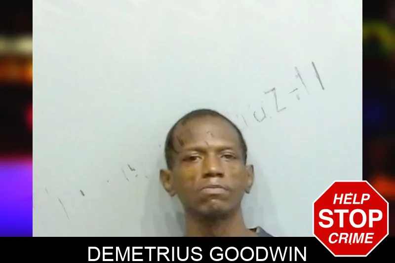Demetrius Goodwin mugshot – Fulton County , Georgia Demetrius Goodwin mugshot