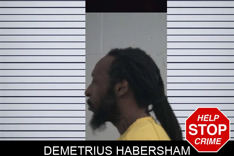 Demetrius Habersham mugshot