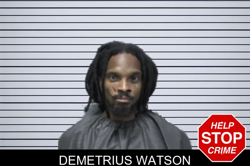 Demetrius Watson mugshot – Forsyth County , Georgia Demetrius Watson mugshot