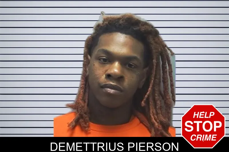 Demettrius Pierson mugshot – Cherokee County , Georgia Demettrius Pierson mugshot