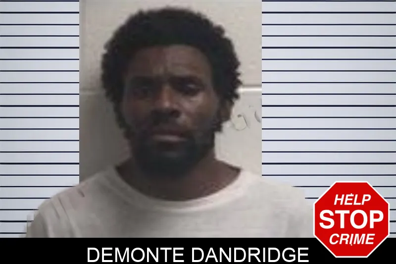 Demonte Dandridge mugshot