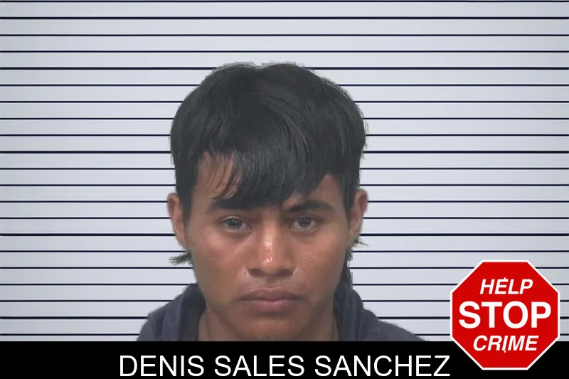 Denis Sales Sanchez mugshot