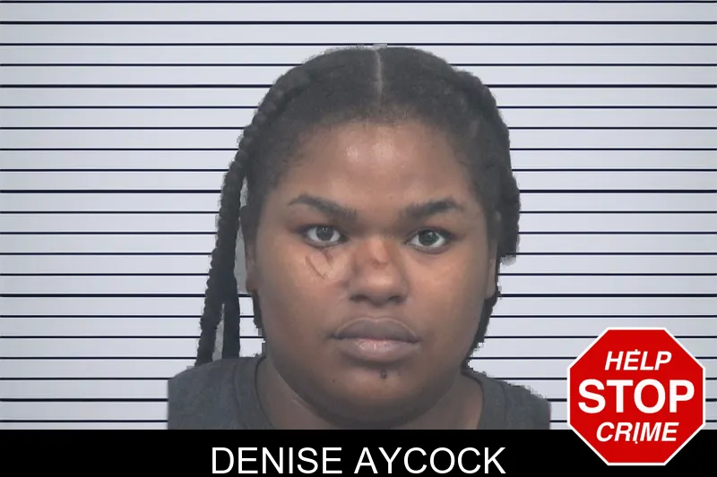Denise Aycock mugshot – Gwinnett County , Georgia Denise Aycock mugshot