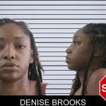 Denise Brooks mugshot – Houston County , Georgia Denise Brooks mugshot
