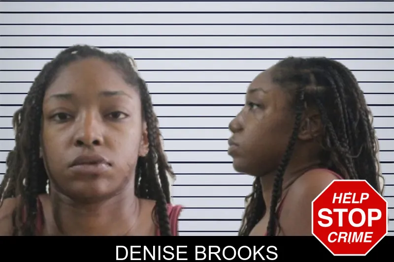 Denise Brooks mugshot – Houston County , Georgia Denise Brooks mugshot