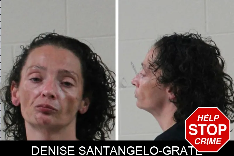 Denise Santangelo-Grate mugshot