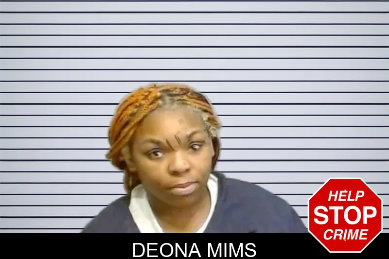 Deona Mims mugshot – Fulton County , Georgia Deona Mims mugshot