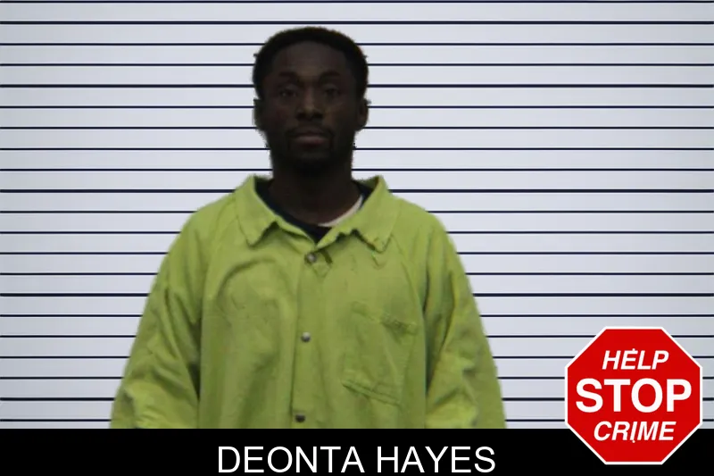 Deonta Hayes mugshot – Turner County , Georgia Deonta Hayes mugshot