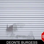 Deonte Burgess mugshot – Screven County , Georgia Deonte Burgess mugshot