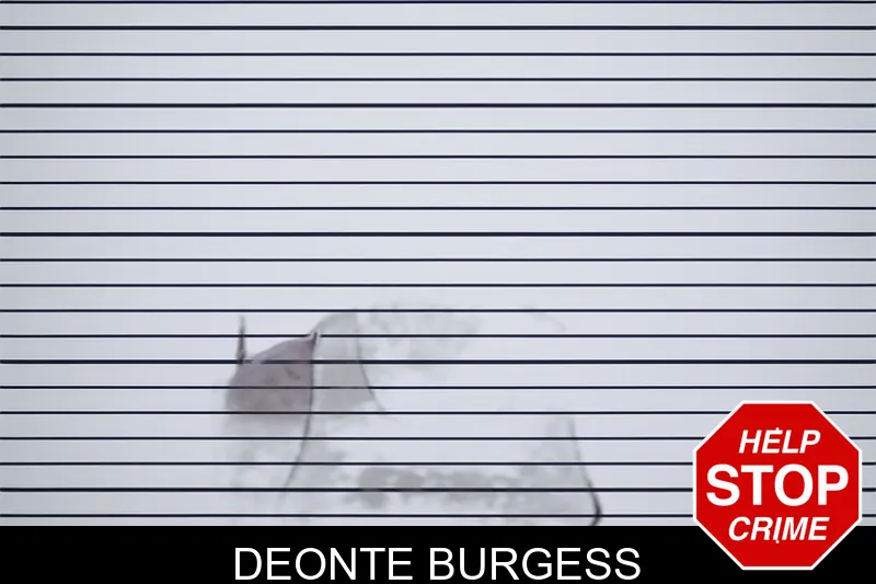 Deonte Burgess mugshot