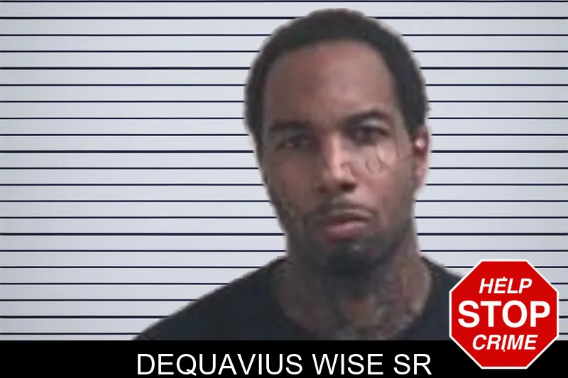 Dequavius Wise Sr mugshot