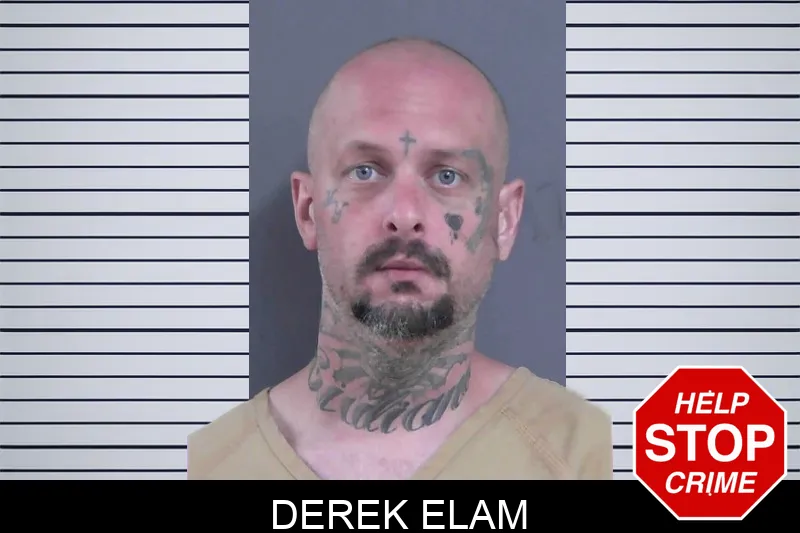 Derek Elam mugshot