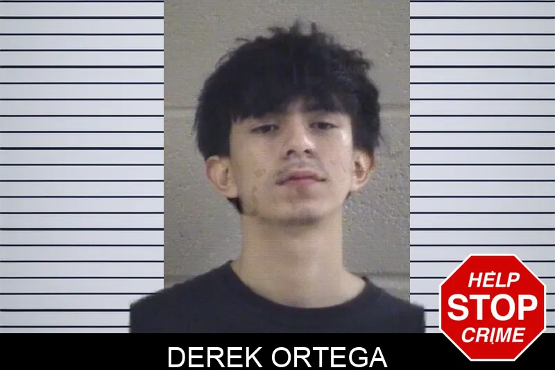 Derek Ortega mugshot