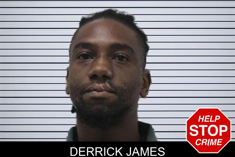 Derrick James mugshot