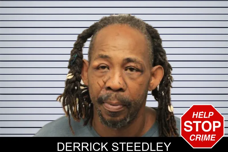 Derrick Steedley mugshot – Chatham County , Georgia Derrick Steedley mugshot