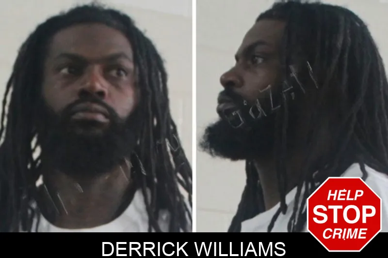 Derrick Williams mugshot