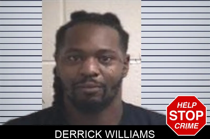 Derrick Williams mugshot