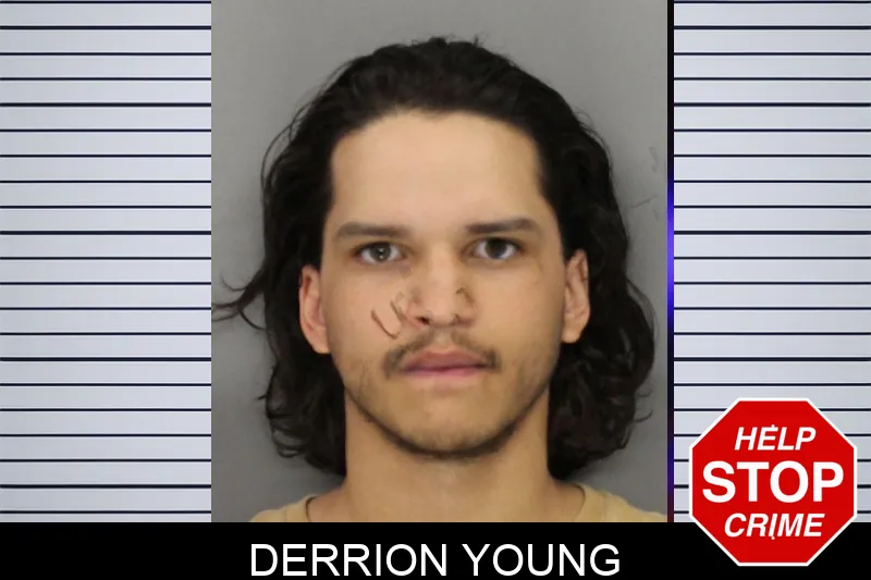 Derrion Young mugshot