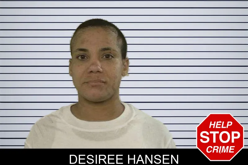 Desiree Hansen mugshot