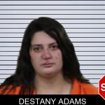 Destany Adams mugshot