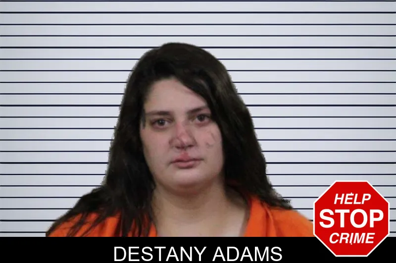 Destany Adams mugshot