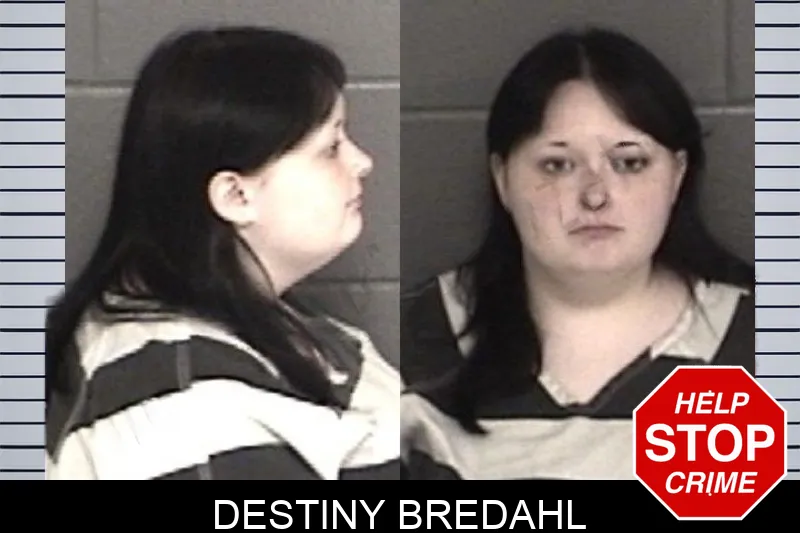 Destiny Bredahl mugshot