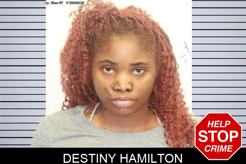 Destiny Hamilton mugshot