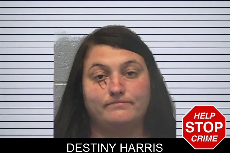 Destiny Harris mugshot