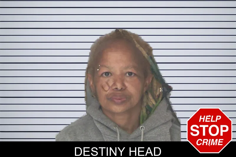 Destiny Head mugshot – Douglas County , Georgia Destiny Head mugshot