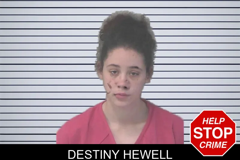 Destiny Hewell mugshot