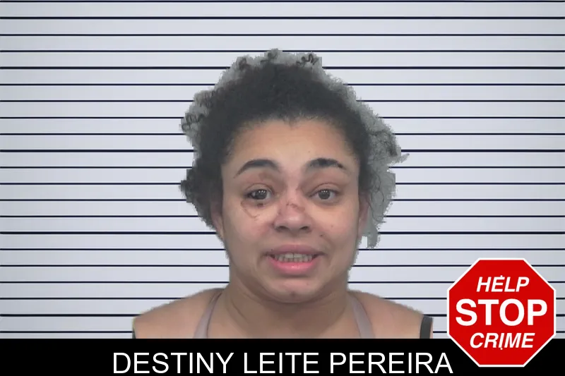Destiny Leite Pereira mugshot – Gwinnett County , Georgia Destiny Leite Pereira mugshot
