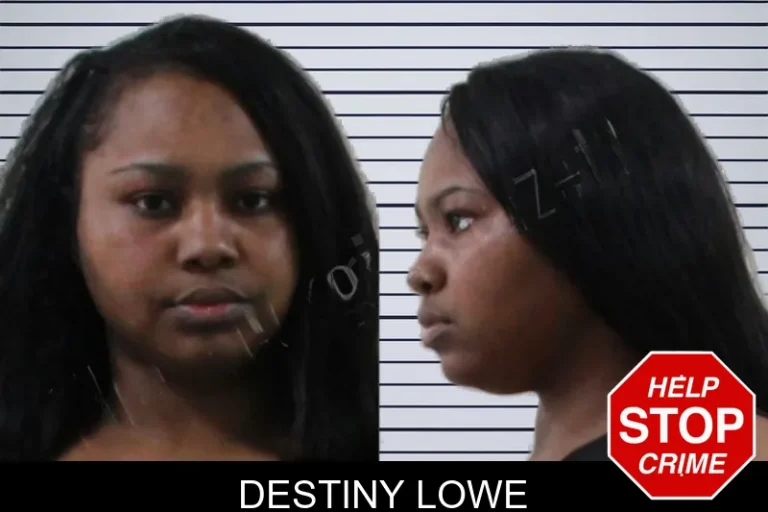 Destiny Lowe mugshot – Houston County , Georgia Destiny Lowe