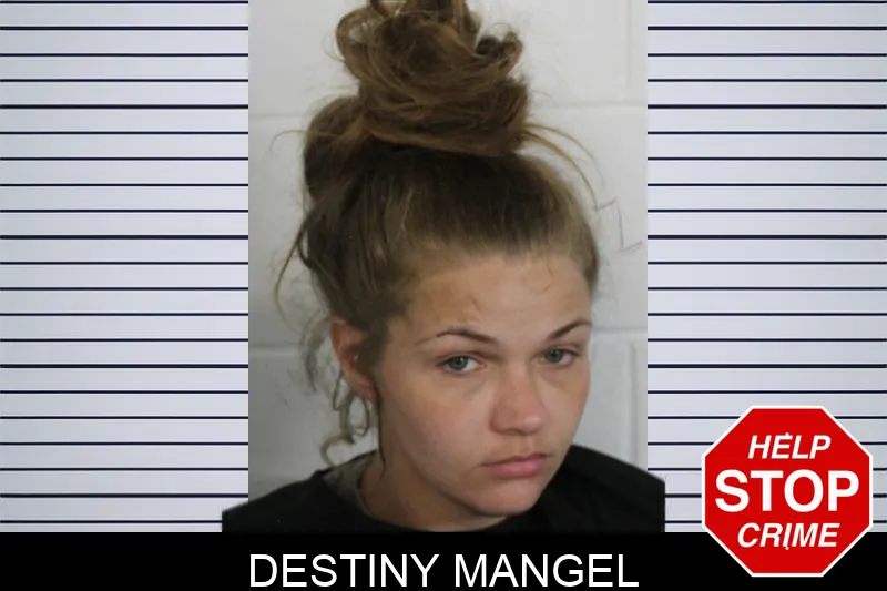 Destiny Mangel mugshot