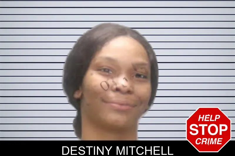 Destiny Mitchell mugshot