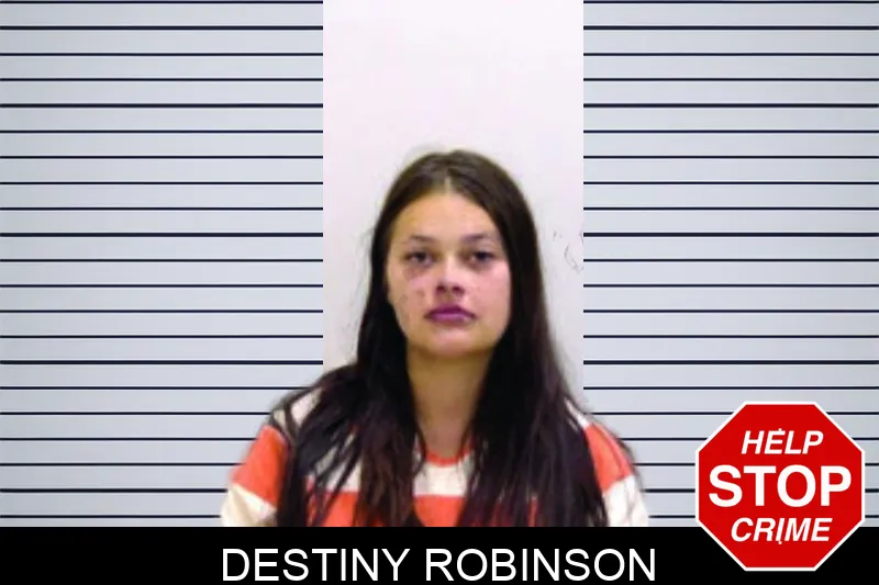 Destiny Robinson mugshot – Bartow County , Georgia Destiny Robinson mugshot