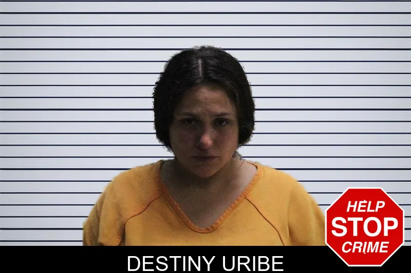 Destiny Uribe mugshot – Murray County , Georgia Destiny Uribe mugshot