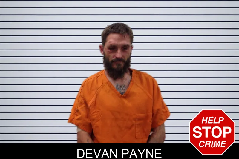 Devan Payne mugshot – Pickens County , Georgia Devan Payne mugshot