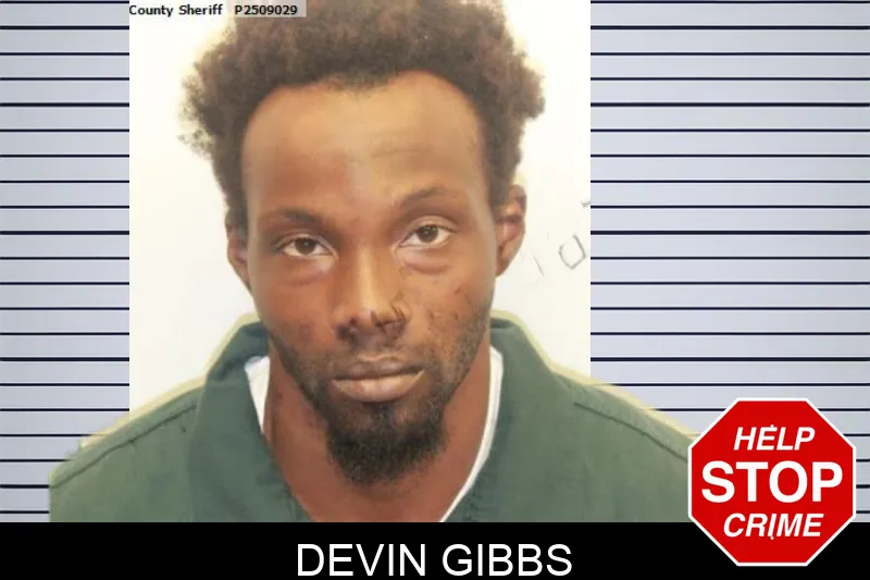 Devin Gibbs mugshot – Chatham County , Georgia Devin Gibbs mugshot