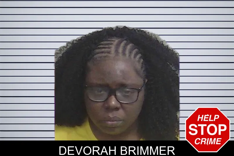 Devorah Brimmer mugshot – Wayne County , Georgia Devorah Brimmer mugshot