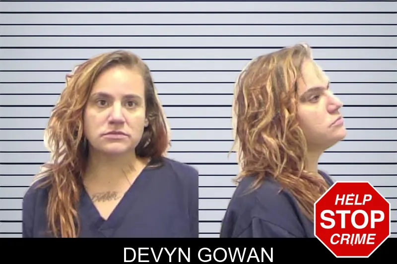 Devyn Gowan mugshot