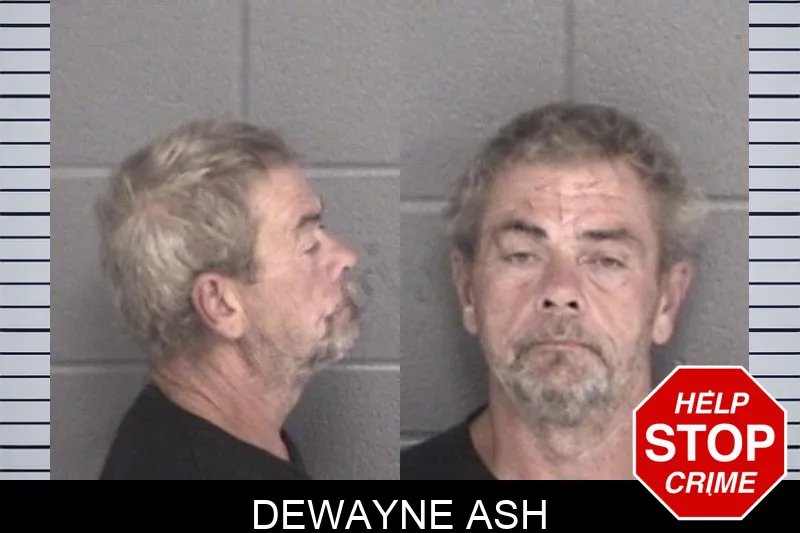 Dewayne Ash mugshot